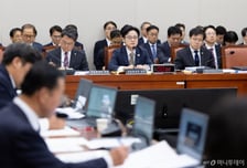 민주당 "尹 대왕고래는 사기극" vs 국힘 "관세협상에 車업계 피해"