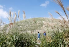 에어컨 언제 끄나…10월 중순인데 제주 서귀포는 '열대야'