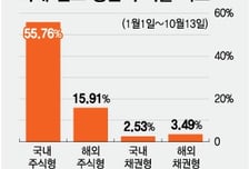 올해 국내주식 펀드 수익률도 급등 ··돈은 해외주식 펀드에 더 몰렸다