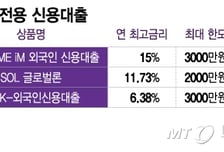 "출국하면 돈 떼일라"…은행권, 외국인 신용대출엔 이자 2배 받는다