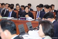 "세컨더리 밖엔 답없는데…모태펀드 관련 출자, 2년새 700억 감소"