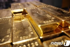 폭우 덮친 베네수엘라 광산, 침수로 무너져 14명 사망…실종자 수색 중