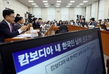 캄보디아 탈출 한국인 "주범은 조선족, 총도 소지…전기 고문·마약 투약"