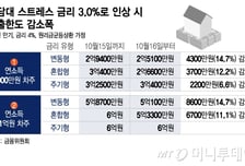 "내 대출한도 얼마나 줄어드나"...마용성 지나 경기까지 영향권