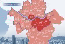 서울 전역 규제 초강수…전문가 "중산층 이하는 진입 자체가 봉쇄"