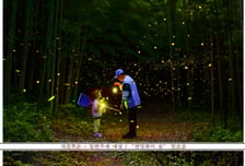 제25회 산림문화작품공모전서 '반딧불이 숲', '버려진 양심' 대상 수상