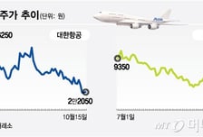 코스피 랠리 바라만 보는 소외주…날지 못하는 항공사 주가