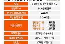 노을, '또 수백억유증' 주주들 한숨…2년새 800억원대 조달
