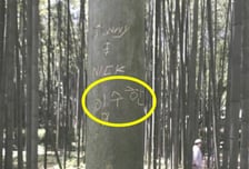 '한글 낙서'로 일본서 나라망신…명소 대나무숲에 "이수한·박민지"