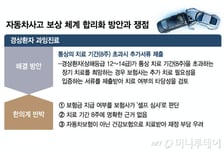 보험금 누수 막을 車보험 제도 개선, 또 제동...소비자 부담 커진다
