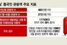 중국인↑ 한국인↓… 두토끼 못 잡는 여행업계