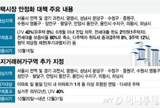 "내 집 꿈도 못 꾸나" 중산층도 묶였다…불장 끌 '초강수 규제'