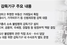 총리 소속 감독기구 신설… 부동산 투기 대응 총력전