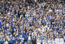 11만원→100만원 "말이 되냐"…'한화 vs 삼성' PO암표 기승에 분통