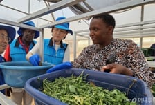 짐바브웨로 날아간 K-농업과학기술…검은 대륙 희망된다