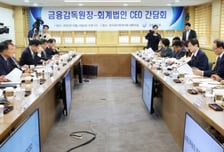 금감원, 내년 외부감사 지정 회사 1230곳 사전통지