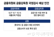 "부동산 계엄"·"계좌추적 남발" 지적에…금융당국, '국감 열공' 모드