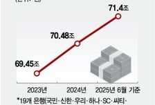 [단독]"여보, 일단 마통 뚫어놓자" 우르르…올해 급증한 이유