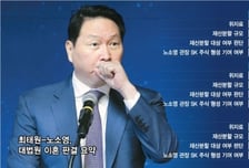 "불법자금, 법적 보호가치 없다"… 최태원 재산분할액 크게 줄 듯