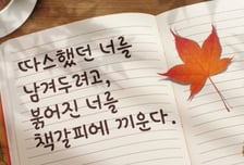 붉어진 너를 책갈피에 끼운다…서울시, 꿈새김판 가을편 문안 공개