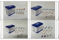 HLB파나진, 파키스탄 진단 시장 진출…암 진단 제품 8종 등록