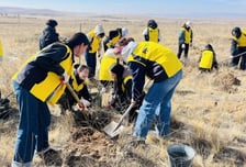 "몽골 사막화 막아라"...오비맥주, '카스 희망의 숲'에 16년째 나무심기