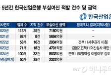 산업은행 5년간 부실여신 3조원 넘는데…징계는 5명 그쳐