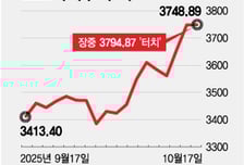 반도체가 끌어 올린 코스피, 3800 뚫을까…"'저평가' 이 업종 주목"