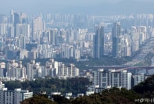 "세금폭탄? 자식들아 집 가져가라"…강남 엄마 아빠들 바빠졌다