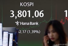코스피, 장중 3800 터치…'사천피' 향해 개인·기관 매수행렬