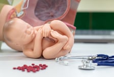 "국가가 살인 부추기는 것" 날 세운 의사…'만삭 낙태' 추진에 '우려'