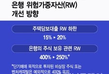 이억원 금융위원장 "주담대 위험가중치 추가 상향, 다시 살펴보겠다"