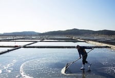 37년전 실종된 오빠, '신안 염전노예'였다…경찰은 알고도 방치, 왜