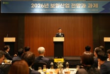 보험산업, 내년부터 수익성 둔화 본격화…"성장률 2.3%로 급락"