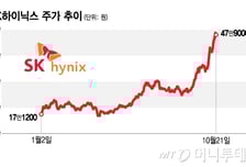 외국인·기관 팔자 '50만닉스'서 주르륵…"SK하이닉스 탈 기회?"