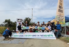 농협 시흥시지부, 호조벌 벼베기 체험서 '아침밥 먹기' 캠페인 전개