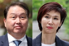 최태원·노소영 재산분할 파기환송심, 서울고법 가사1부 배당