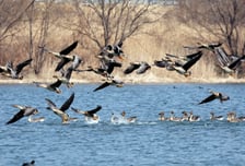 행안부·농식품부, 겨울 철새 대비 조류인플루엔자 방역실태 현장점검