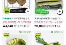 알리, 신선식품 시장 진출…신세계 손잡고 국내 서비스 확대