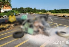 10대 관광객 사망 '제주 카트 화재'…경찰, 중대시민재해 적용 검토