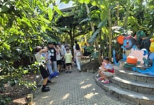 '포켓몬의 섬' 된 제주, 10만명이 놀러왔다…"글로벌 1위의 힘"