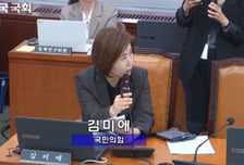 김미애 의원 "중국인 관광객 무비자 입국, 방역 정책도 강화해야"
