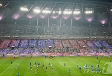 "박항서 대표팀 감독 취임"…월드컵 앞두고 떠도는 '가짜뉴스' 왜?