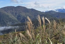 [내일 날씨] '반짝 추위' 물러가고 다시 가을…동해안엔 비