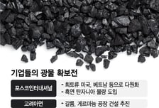 "탈중국" 광물전쟁 본격화… 韓기업, 공급망 확보 분투
