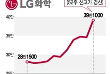 "저평가" 한마디에… LG화학, 13% 급등