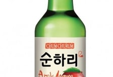 롯데칠성, 국내 소비 부진 글로벌 통해 돌파…'매수' 의견-다올투자증권