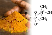 알피바이오, "강황 원료 독점 생산…내년 초 '치매 예방 영양제' 출시"