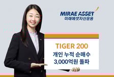 TIGER 200 ETF, 올해 개인 순매수 3000억 돌파