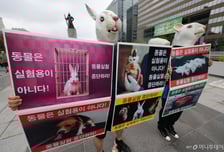 '동물실험 최소화' 범부처 협력 나선다…대체시험 활성화법 제정 시동